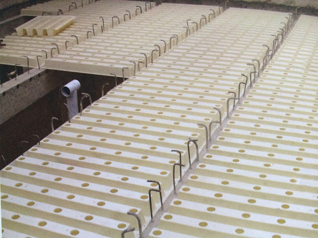 ���w�����V��