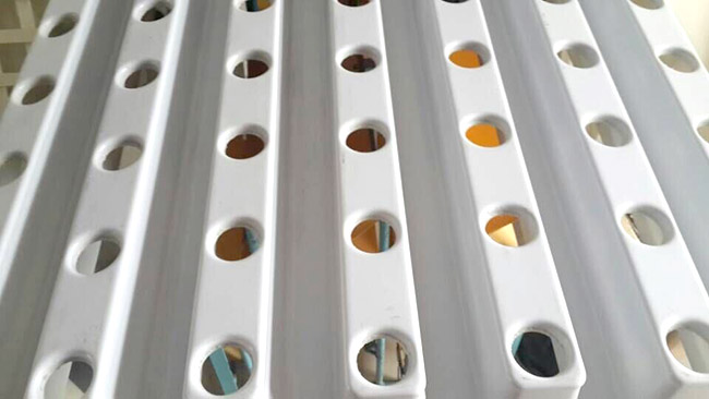 ���w�����V������ģ��