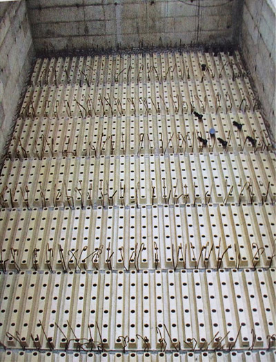 ���w�����V�؞V��ʩ���D