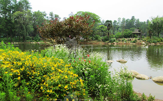 �\ՄĿǰ�҇�(gu��)�˹������ˮ̎�����g(sh��)