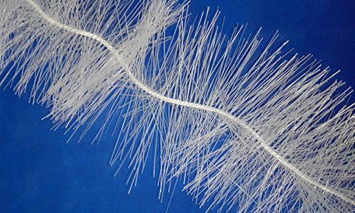 LS-150���w��������