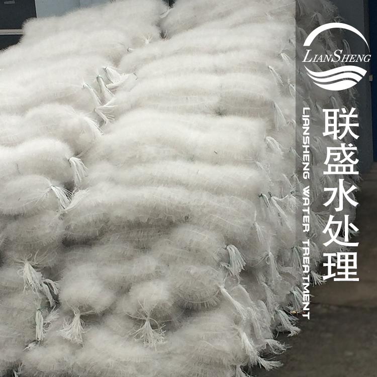 ���w�������ϰl(f��)؛�F(xi��n)��